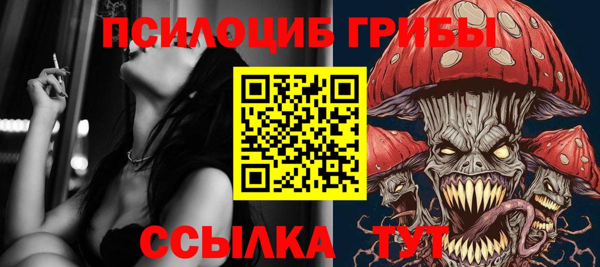 Псилоцибиновые грибы Cubensis Спасск-Дальний